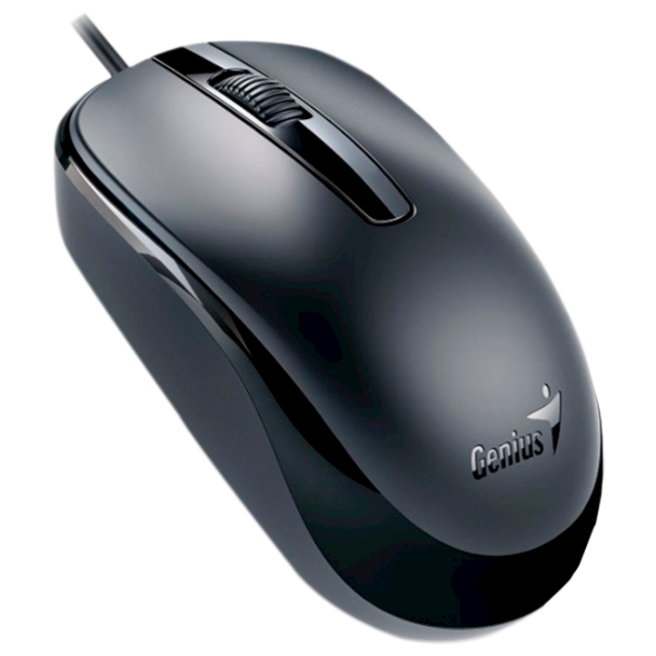 Mouse Genius DX-120 USB/ Black photo 2
