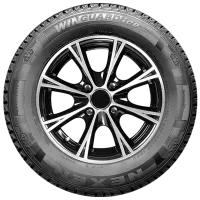 Шины Nexen Winguard Ice SUV 285/ 60 R18 116Q Зима/ Внедорожник photo 2