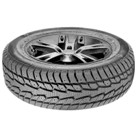 Шины Torque TQ023 215/ 65 R17 99T Зима/ Легковой photo 2