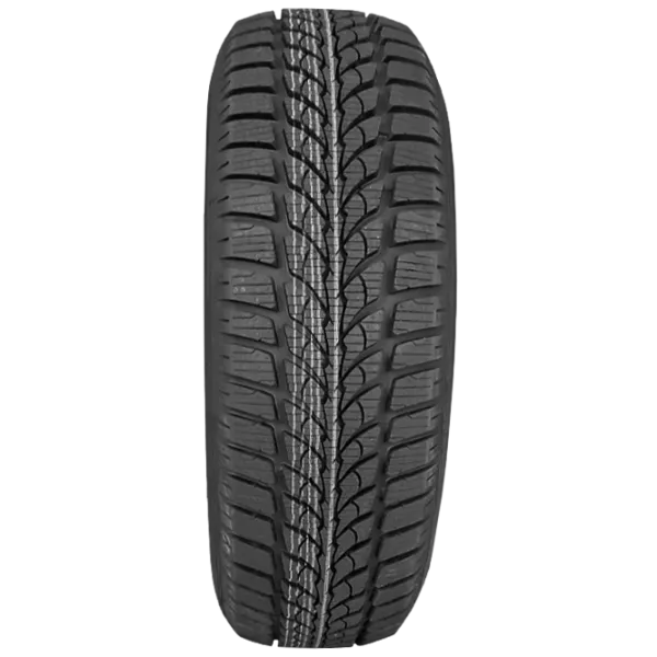 Шины Debica Frigo HP 195/ 55 R15 Зима/ Легковой photo 2