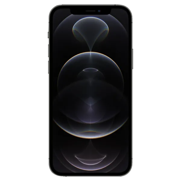 Apple iPhone 12 Pro Max 6 GB/ 256 GB/ Single SIM/ Graphite  photo 6