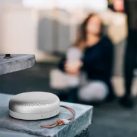 Портативная колонка Bang & Olufsen A1 60 Вт/ Серый photo 6