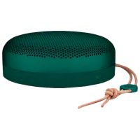 Портативная колонка Bang & Olufsen A1 60 Вт/ Зеленый photo 2