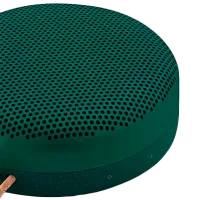 Портативная колонка Bang & Olufsen A1 60 Вт/ Зеленый photo 3