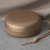 Портативная колонка Bang & Olufsen A1 60 Вт/ Бронзовый photo 5