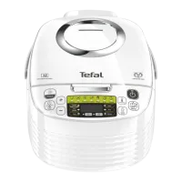 Multifierbător Tefal RK745132 White photo 2
