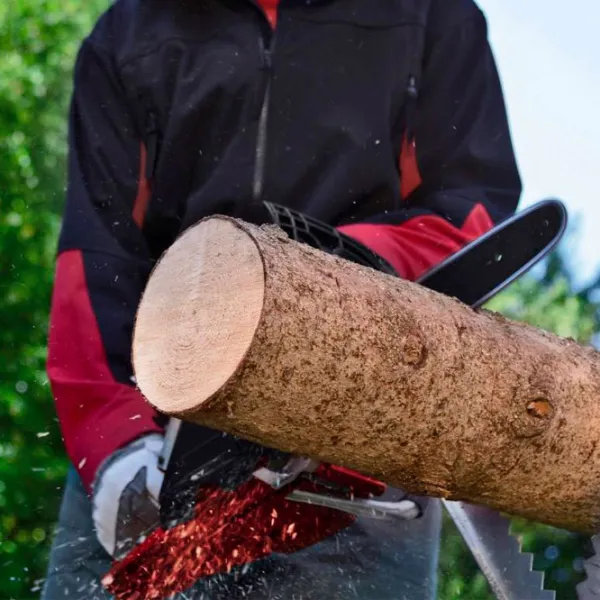 Fierăstrău cu lanţ Einhell GE-EC 2240 Electrică/ Red photo 11