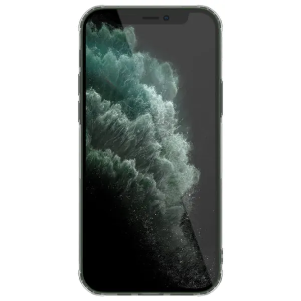Husă pentru smartphone Apple iPhone 12 Pro Max Nillkin/ Back/ TPU/ Gray Transparent photo 3