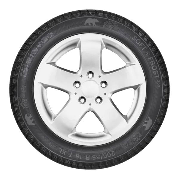 Шины Gislaved Soft*Frost 200 205/ 55 R16 94T XL Зима/ Легковой photo 2 Шины Gislaved Soft*Frost 200 205/ 55 R16 94T XL Зима/ Легковой photo 2