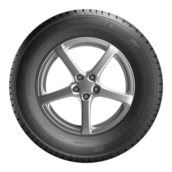 Шины Gislaved Euro*Frost 6 255/ 50 R19 107V XL FR Зима/ Легковой photo 2 Шины Gislaved Euro*Frost 6 255/ 50 R19 107V XL FR Зима/ Легковой photo 2