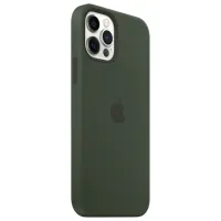 Husă pentru smartphone Apple iPhone 12/ 12 Pro Apple/ MagSafe Back/ TPU/ Cyprus Green photo 2