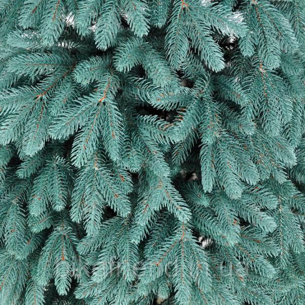 Brad Smereka Premium Blue 150cm/ Blue photo 2