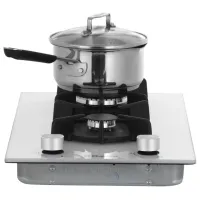 Plită încorporabilă pe gaz Hansa BHKW310300 White photo 4