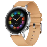 Умные часы Huawei Watch GT2 1.39"/ Fortuna B19V/ Khaki Серебристый photo 2