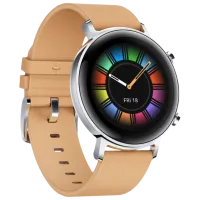 Умные часы Huawei Watch GT2 1.39"/ Fortuna B19V/ Khaki Серебристый photo 3