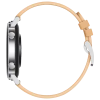 Умные часы Huawei Watch GT2 1.39"/ Fortuna B19V/ Khaki Серебристый photo 5