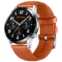 Умные часы Huawei Watch GT2 1.39"/ Fortuna B19V/ Коричневый Серебристый photo 2