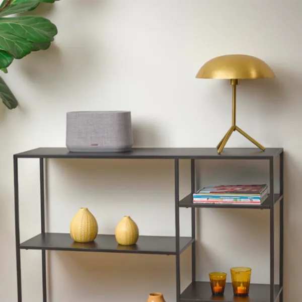 Умная колонка Harman Kardon Citation 300 Серый photo 7
