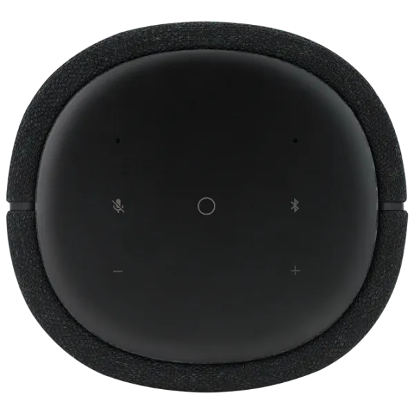 Boxă smart Harman Kardon Citation 100 Black photo 4