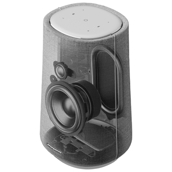 Умная колонка Harman Kardon Citation 100 Серый photo 6