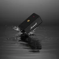 Портативная колонка Marshall Emberton 20 Вт/ Черный photo 6