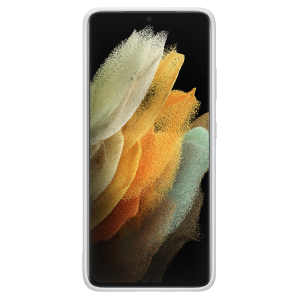 Чехол для смартфона Samsung Galaxy S21 Ultra Samsung/ Back/ TPU/ Светлый Серый photo 2