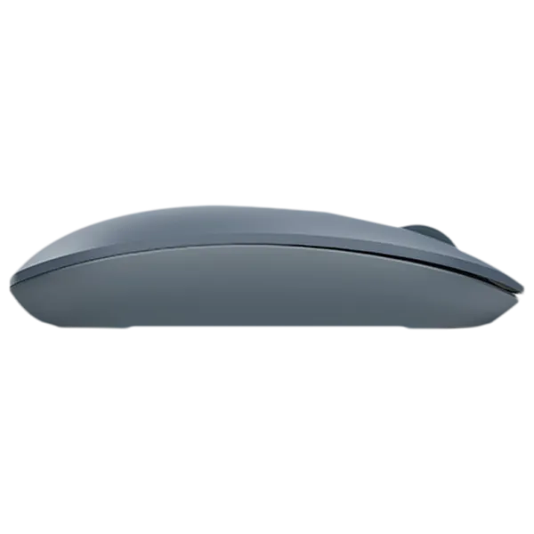 Mouse A4Tech FG20 USB/ Blue photo 5