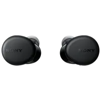Наушники Sony WF-XB700 Черный Беспроводные/ Персональный photo 2