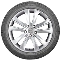 Шины GT Radial Champiro FE1 215/ 55 ZR17 94W Лето/ Легковой photo 3