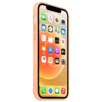 Husă pentru smartphone Apple iPhone 12 Pro Max Apple/ Back/ TPU/ Cantaloupe Orange photo 5