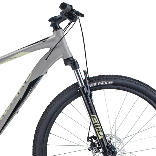 Bicicletă Forward Apache 29" 19" Aluminiu/ Gray White photo 3