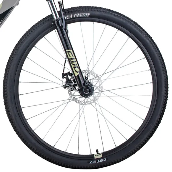 Bicicletă Forward Apache 29" 19" Aluminiu/ Gray White photo 4