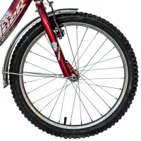 Bicicletă Fulger Panda 20" 11.6" Oțel/ Red Silver photo 5