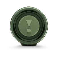 Портативная колонка JBL Charge 4 30 Вт/ Зелёный photo 5