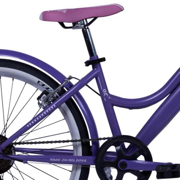 Велосипед Andrei Tchmil Ivy 24" 24" Сталь/ Фиолетовый Белый photo 4 Велосипед Andrei Tchmil Ivy 24" 24" Сталь/ Фиолетовый Белый photo 4