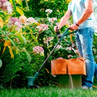 Триммер для травы Bosch EasyGrassCut 23 Электрическая/ Зелёный photo 5