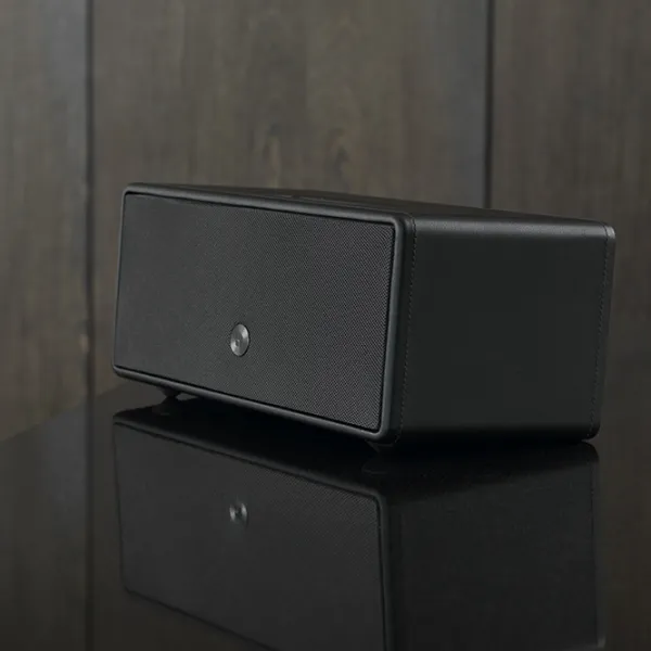 Аудиосистема AudioPro Drumfire D-1 100 Вт/ Черный photo 5