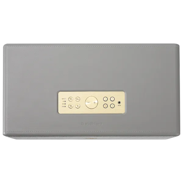 Sistem audio AudioPro Drumfire D-1 100 W/ Gray photo 2