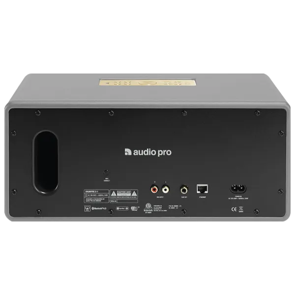 Sistem audio AudioPro Drumfire D-1 100 W/ Gray photo 3