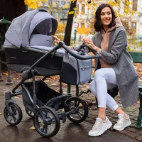 Детская коляска Bebetto Bresso 38664/ Серый photo 3
