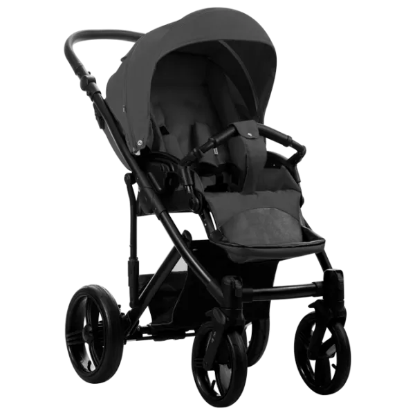 Детская коляска Bebetto Magnum New 284931/ Черный photo 2