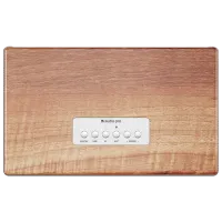 Sistem audio AudioPro BT5 40 W/ Walnut photo 2