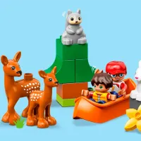 Constructor LEGO World Animals Călătorie/ Multicolor photo 3