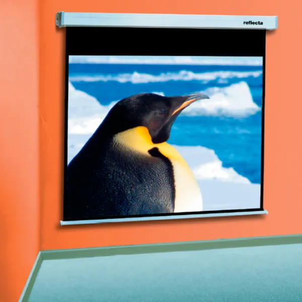 Ecran pentru proiector Reflecta Crystal-Line Rollo lux 300 cm/ 300 cm/ Pe perete/ White photo 3