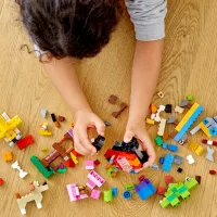 Constructor LEGO Basic Brick Set Creativ/ Multicolor photo 6