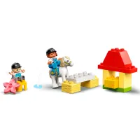 Constructor LEGO Horse Stable and Pony Care Fermă/ Multicolor photo 6