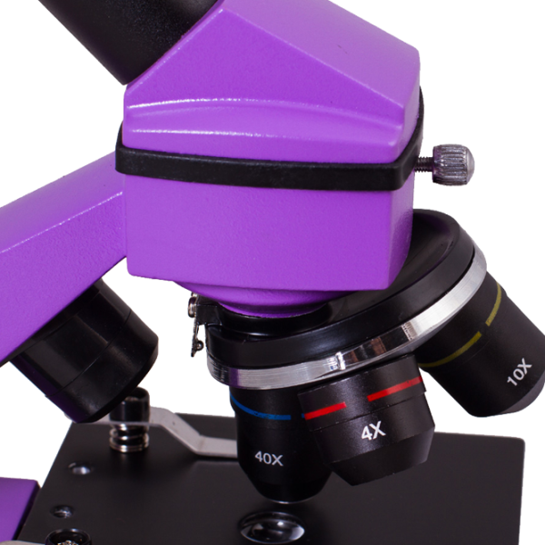 Microscop Levenhuk Rainbow 2L PLUS Amethyst photo 6