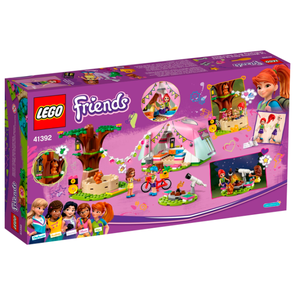 Детский конструктор LEGO Nature Glamping Отдых на природе/ Разноцветный photo 3