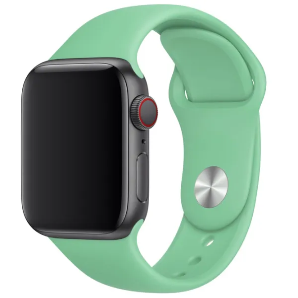 Ремень Apple Watch S/ M & M/ L Steel/ 40 мм/ Мята photo 2 Ремень Apple Watch S/ M & M/ L Steel/ 40 мм/ Мята photo 2