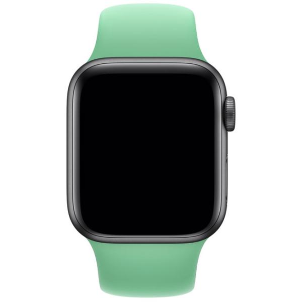 Ремень Apple Watch S/ M & M/ L Steel/ 40 мм/ Мята photo 3 Ремень Apple Watch S/ M & M/ L Steel/ 40 мм/ Мята photo 3